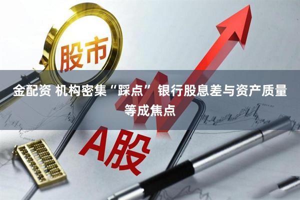 金配资 机构密集“踩点” 银行股息差与资产质量等成焦点