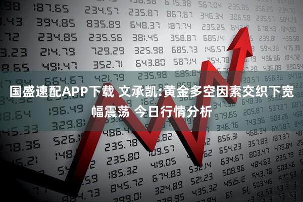 国盛速配APP下载 文承凯:黄金多空因素交织下宽幅震荡 今日行情分析